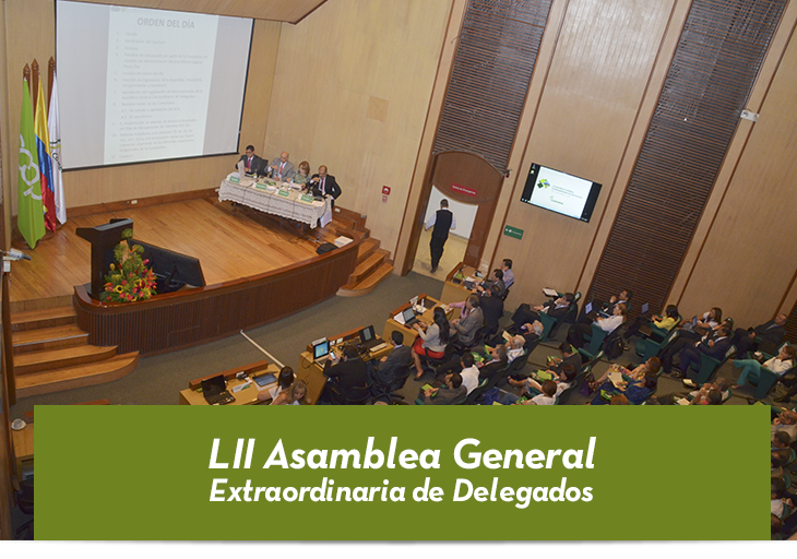LII Asamblea General Extraordinaria de Delegados